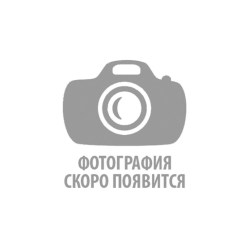foto-arvt7
