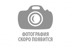 nophoto-587x391577